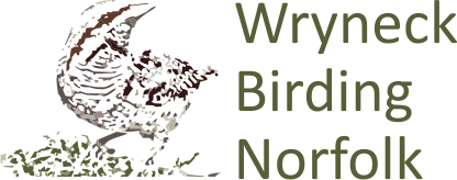 Wryneck Birding Norfolk logo